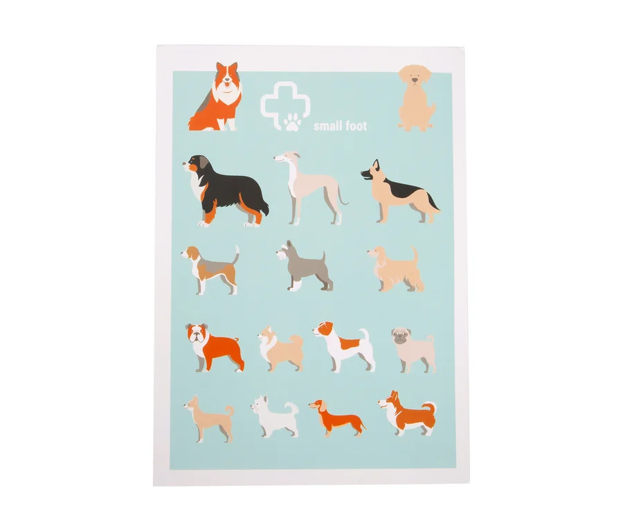 Hellblaues Poster mit Illustrationen von 15 verschiedenen Hunderassen und dem small foot Logo, Teil des small foot Tierarzt-Sets "Hund".