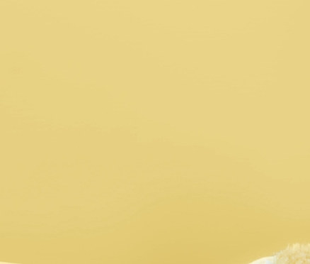 Ein Wasserhahn aus Edelstahl mit einem gelben Wasserhahn-Entkalker-Aufsatz, einem Tuch und einer Bürste auf gelbem Hintergrund.