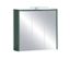 Geschlossener Spiegelschrank »Lovis«, waldgrün, 65 cm.