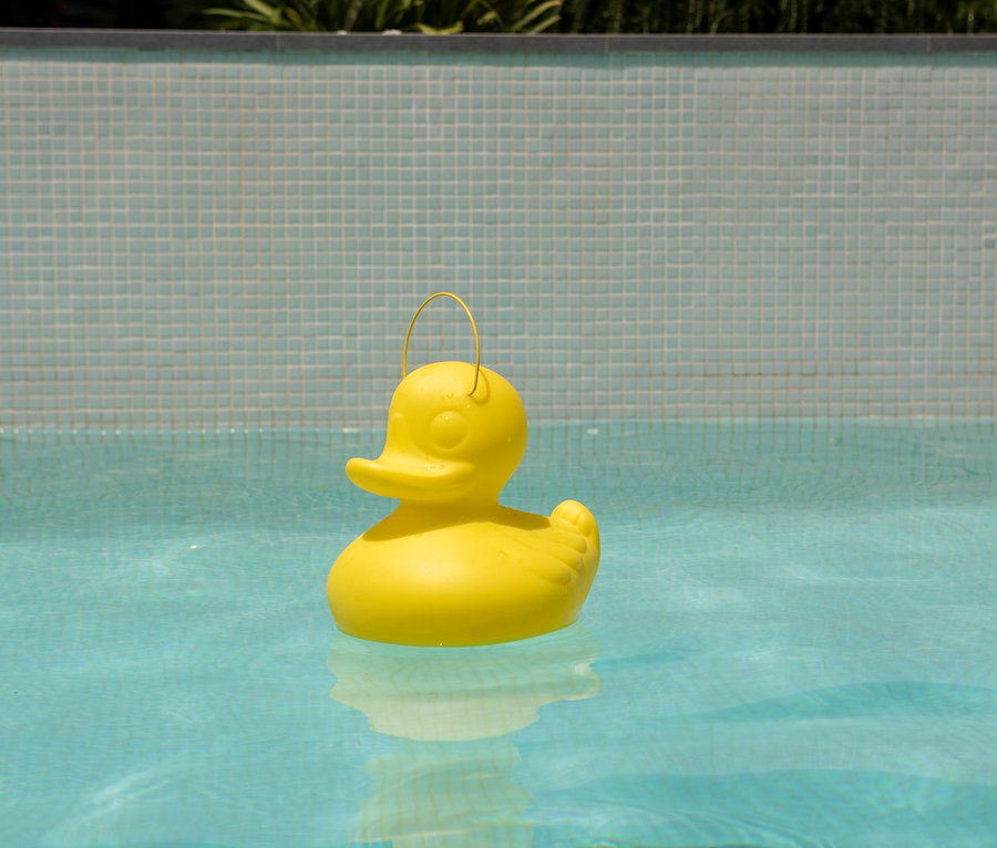 Eine gelbe Gummiente schwimmt im Pool. Goodnight Light LED-Leuchte »Ente« S.