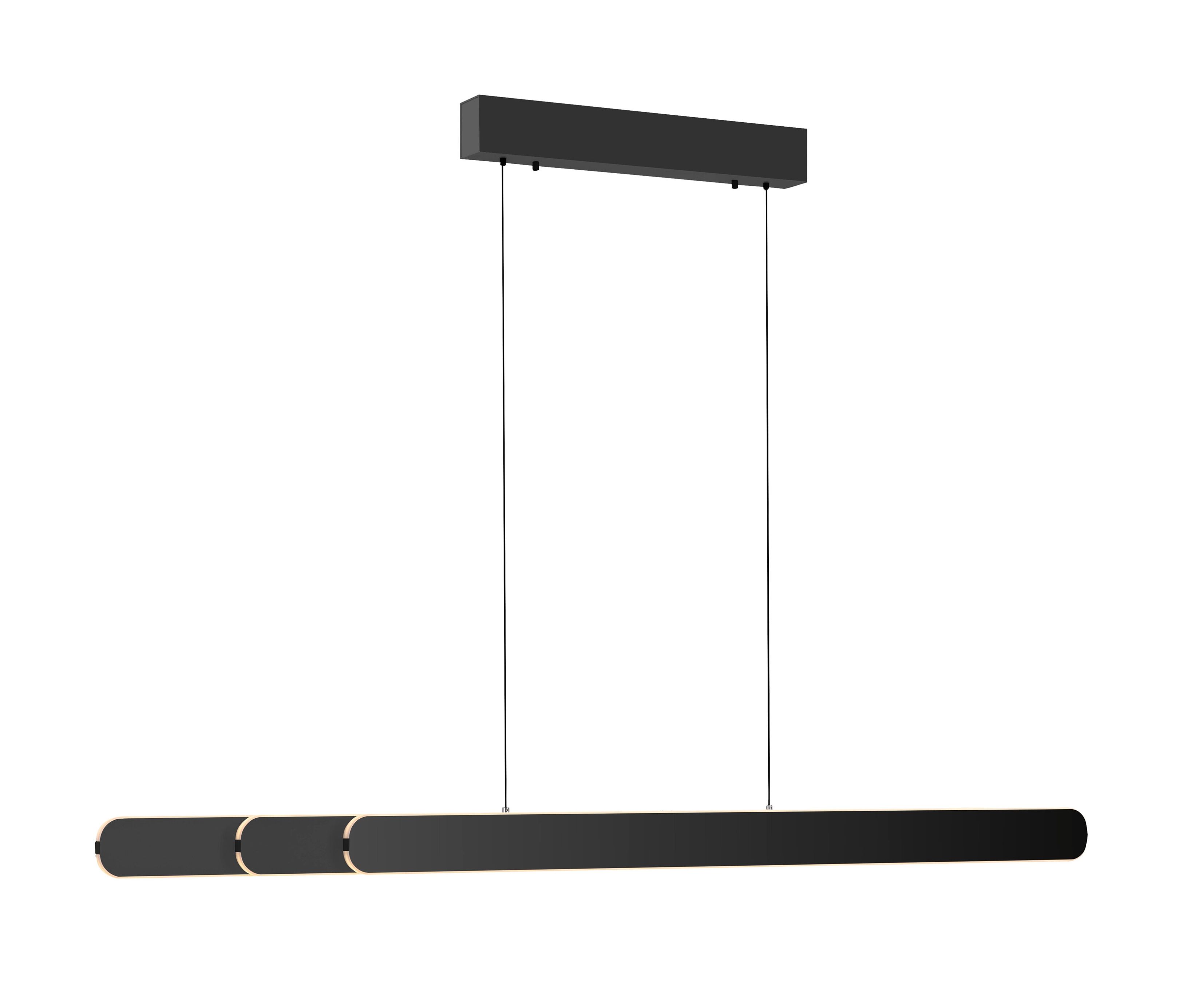Paul Neuhaus LED-Pendelleuchte »Adriana Round« - 160x5,5x60cm - schwarz - Eisen / Polystyrol