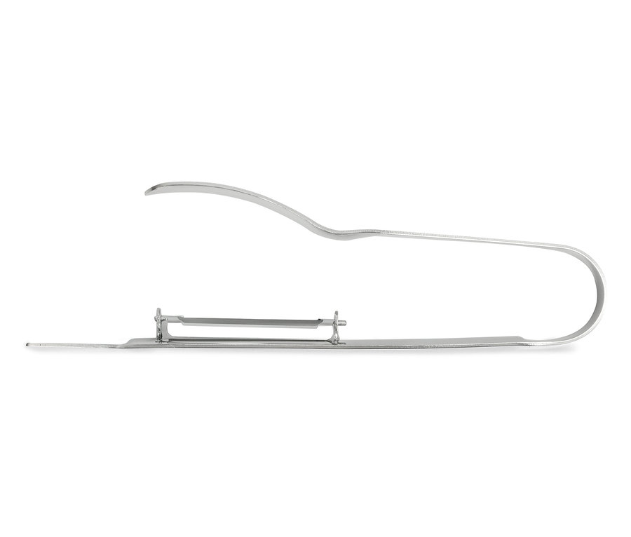 Ein silberfarbener Gemüseschäler aus Metall vor einem weißen Hintergrund.