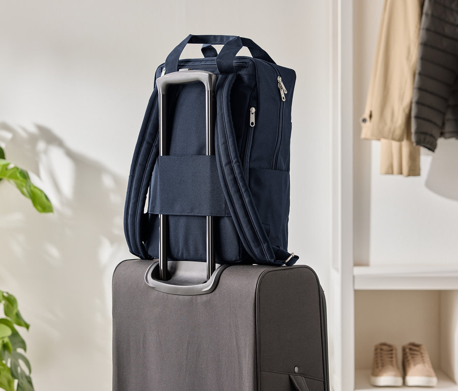 Dunkelblauer Rucksack auf einem grauen Rollkoffer, daneben eine Zimmerpflanze und ein Kleiderschrank.