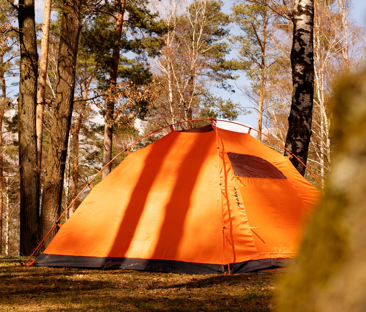 Orangefarbenes Tambu »HAIKA 2« 2-Personen-Kuppelzelt steht auf einer Wiese in einem Wald.