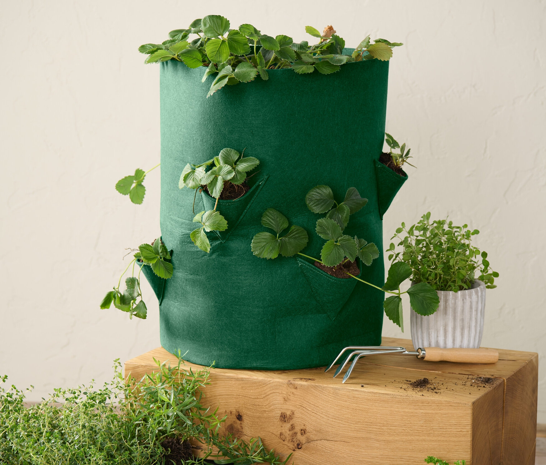 Grüne Erdbeeren-Pflanztasche mit Pflanzen auf einem Holzwürfel.