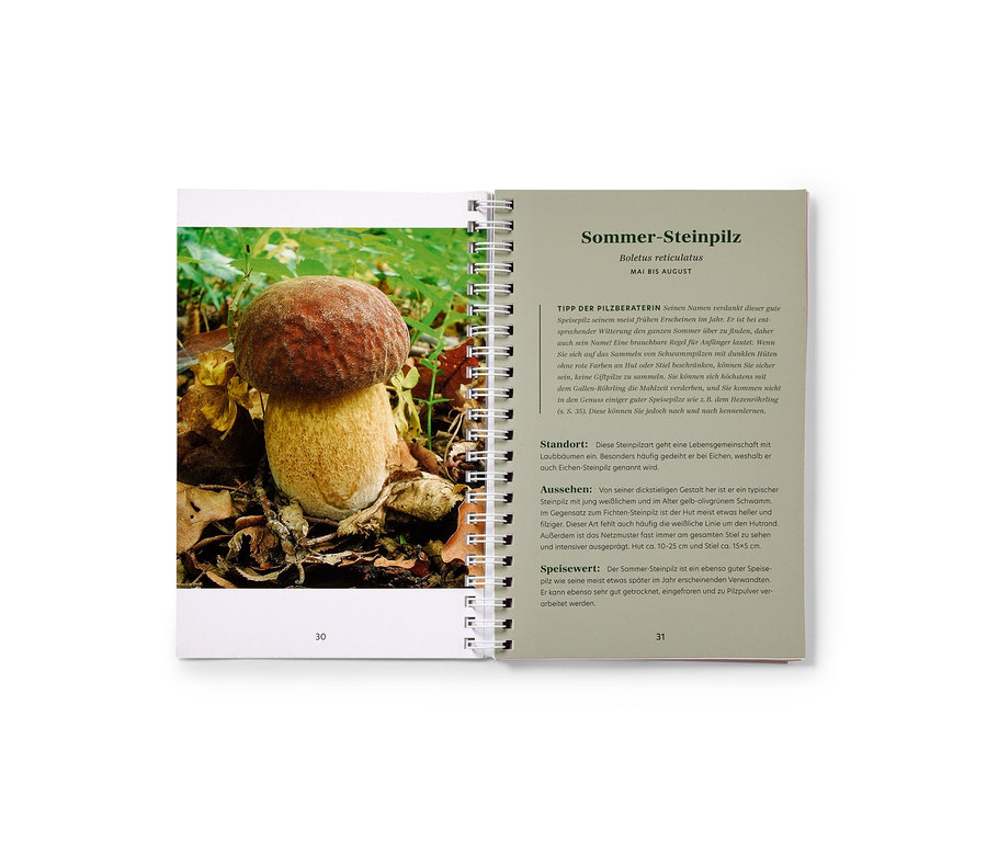 Ein aufgeschlagenes Spiralbuch zeigt auf der linken Seite ein Nahaufnahme-Foto eines braunkappigen Pilzes mit dickem Stiel, umgeben von Waldboden. Die rechte Seite enthält Text über den Pilz.