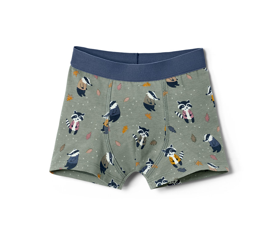 Nahaufnahme von 7 Jungen-Slipboxern mit Waschbär- und Dachsmuster auf olivgrünem Hintergrund.