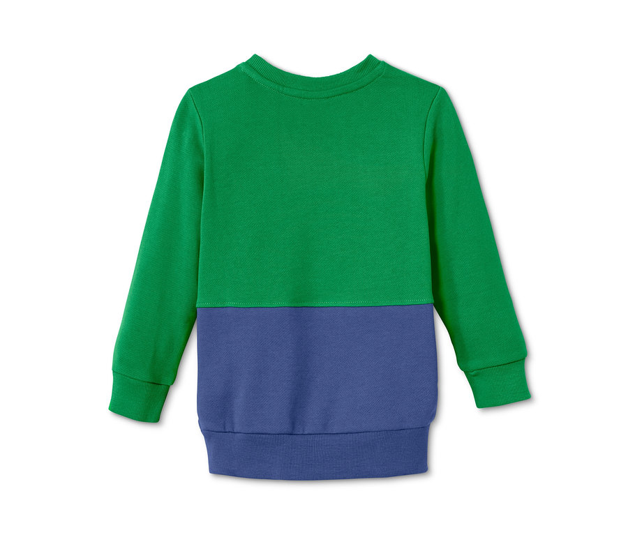 Grün-blaues Sweatshirt aus Bio-Baumwolle.