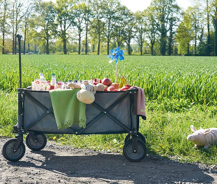 Ein Pinolino Klappbollerwagen »Porti« voll mit Essen und Spielsachen steht auf einem Feldweg.