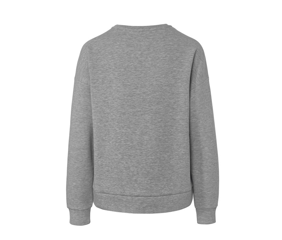 Graues Sweatshirt mit Badge von hinten.