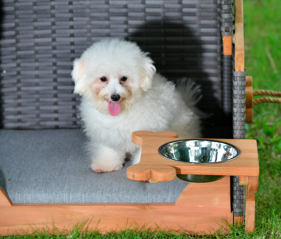 Ein weisser Bichon sitzt im deVries Hundestrandkorb »Knochenfinder« auf einer Wiese.
