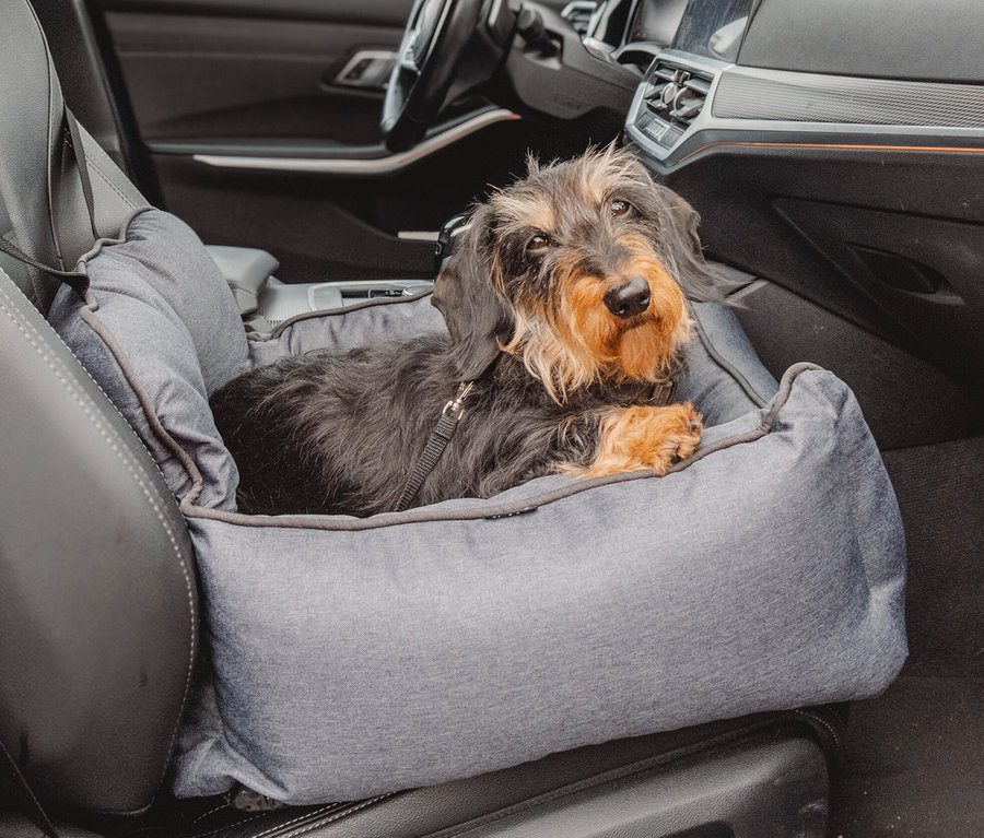 In einem Auto sitzt ein Dackel in einem grauen Hunde-Autositz "KADEK".
