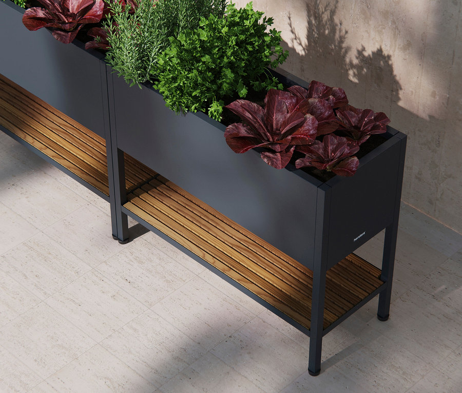 Hochformatige Nahaufnahme eines grauen, erhöhten Pflanzgefäßes mit Holzregal und Salatpflanzen.