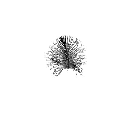 Detailaufnahme des weißen Wandbilds "Feather", ca. 40 x 50 cm.
