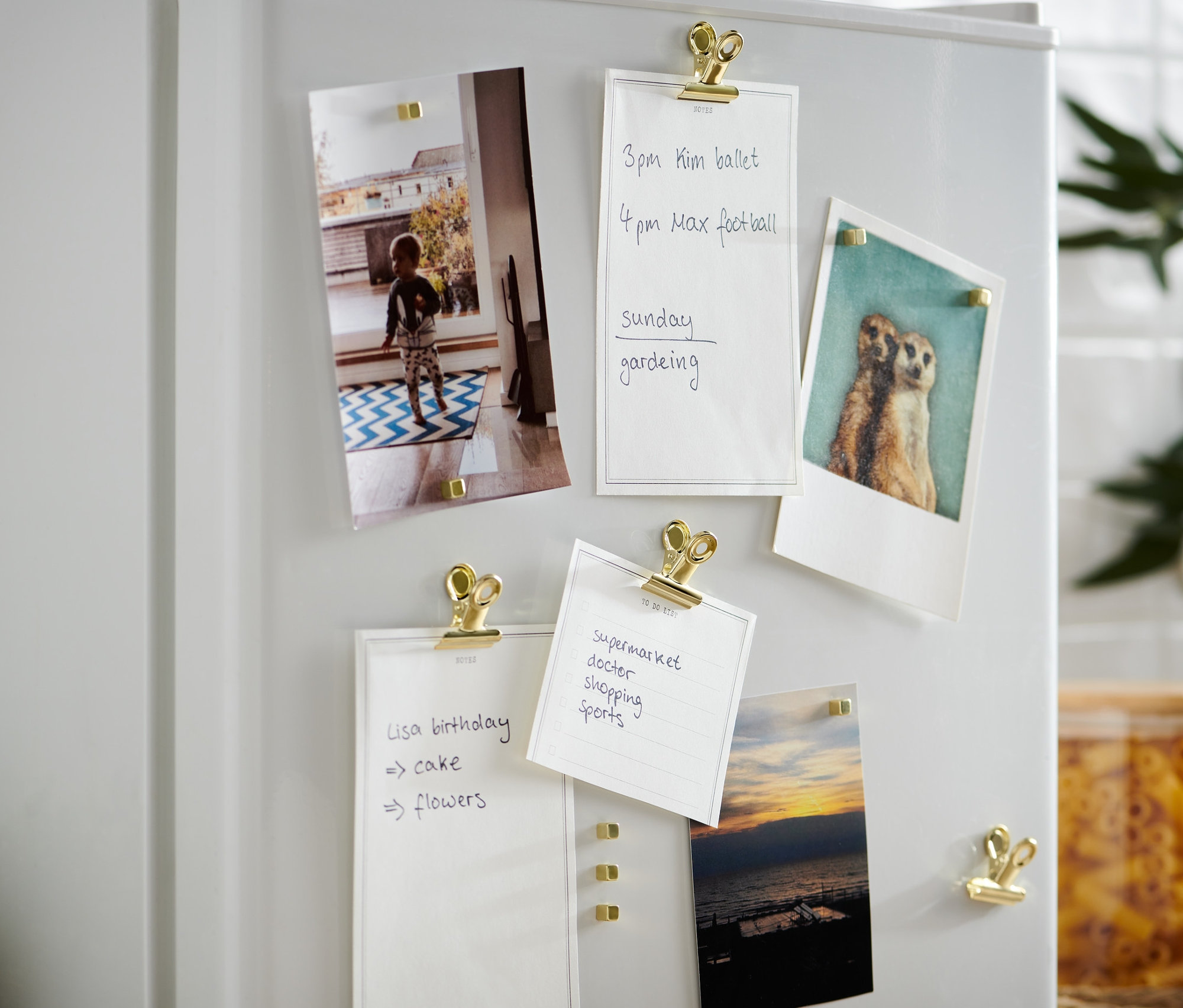 Fotos und Notizen sind mit einem Magnet-Set am Kühlschrank befestigt.