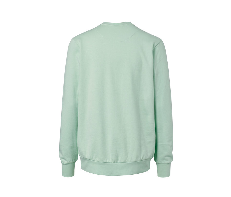 Rückansicht eines mintfarbenen Sweatshirts.