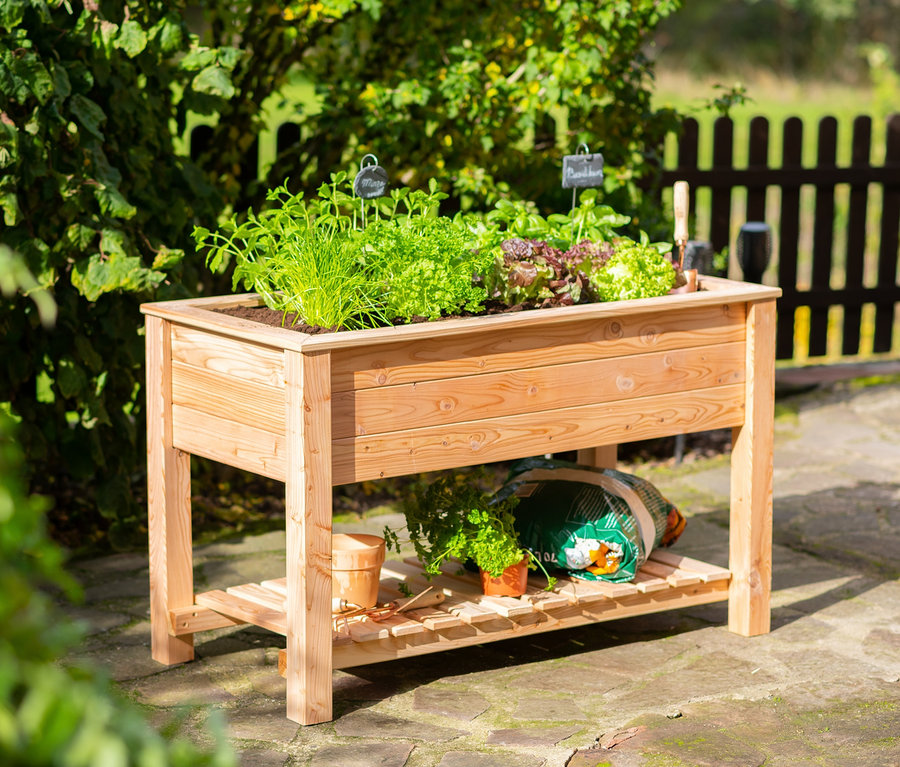 Stelzenhochbeet mit Boden mit wachsenden Pflanzen im Garten.