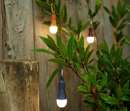 Drei LED-Deko-Lichter hängen an den Ästen eines Strauchs vor einem Holzzaun.
