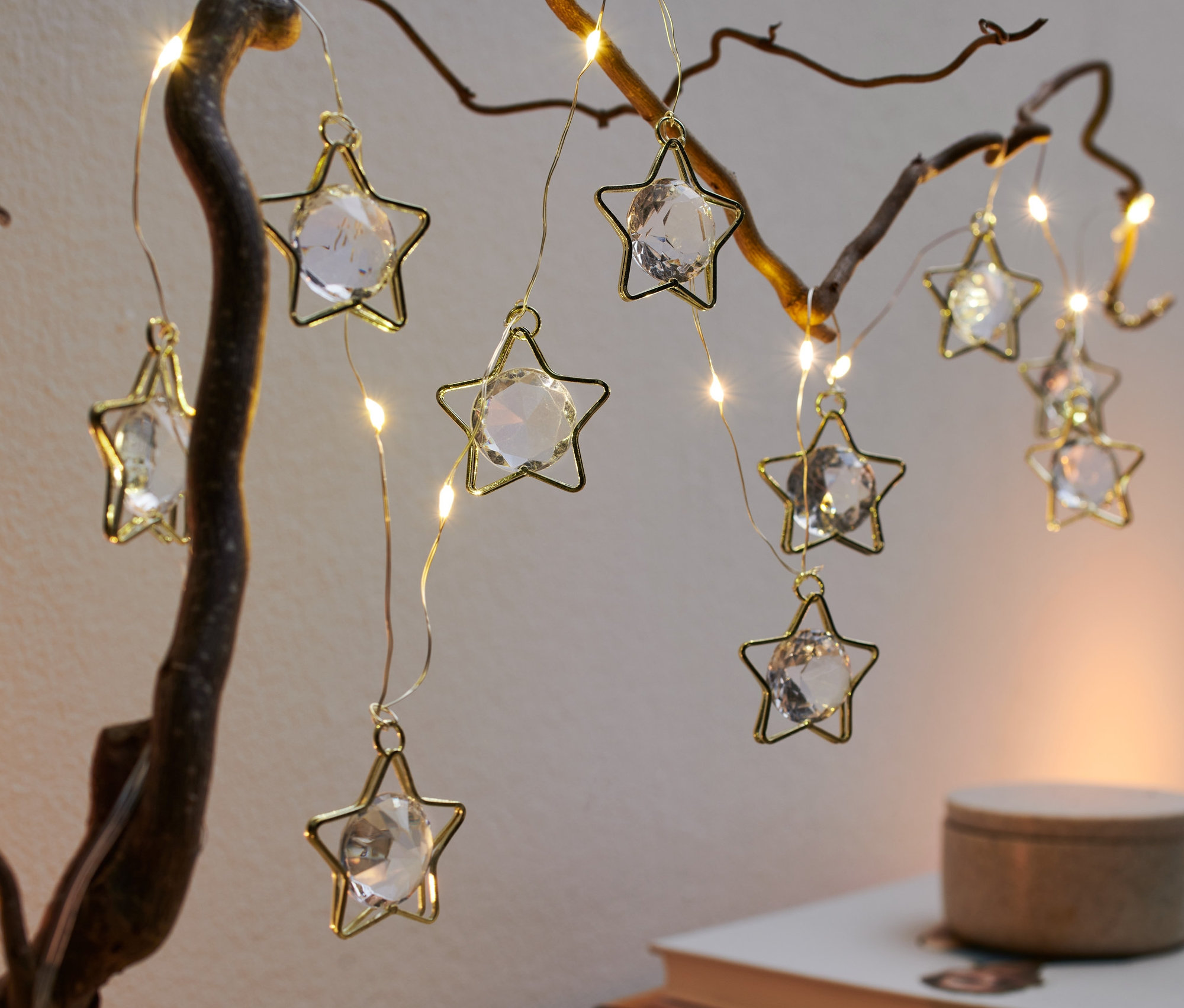 LED-Lichterkette in Sternform hängt an einem Ast.