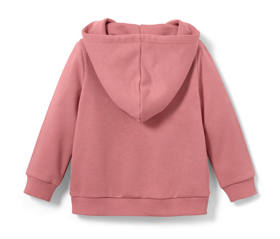 Rosa Kinder-Sweatshirt mit Kapuze und langen Ärmeln von hinten.