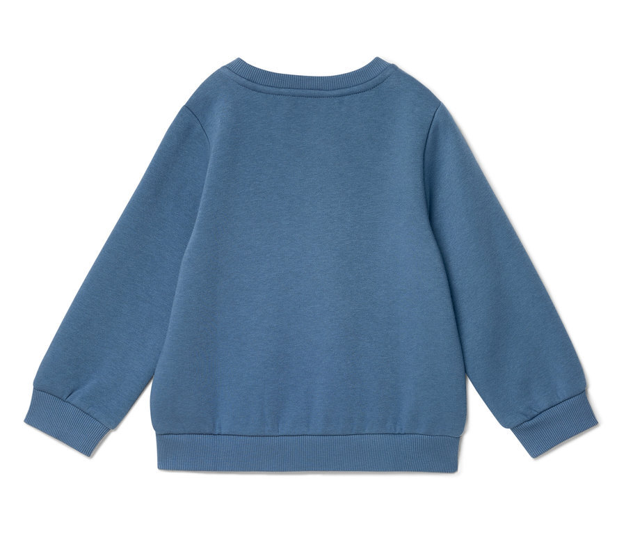 Blauer Pullover, Rückansicht.