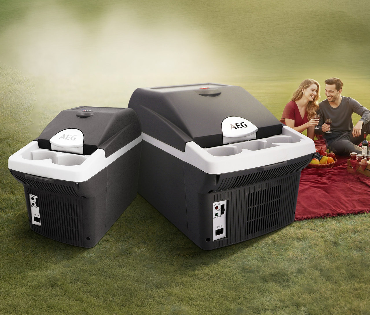 Zwei dunkelgrau-weiße AEG Bordbar »BK16« Kühlboxen mit Becherhaltern stehen auf grünem Gras, im Hintergrund picknickt ein Paar auf einer roten Decke.