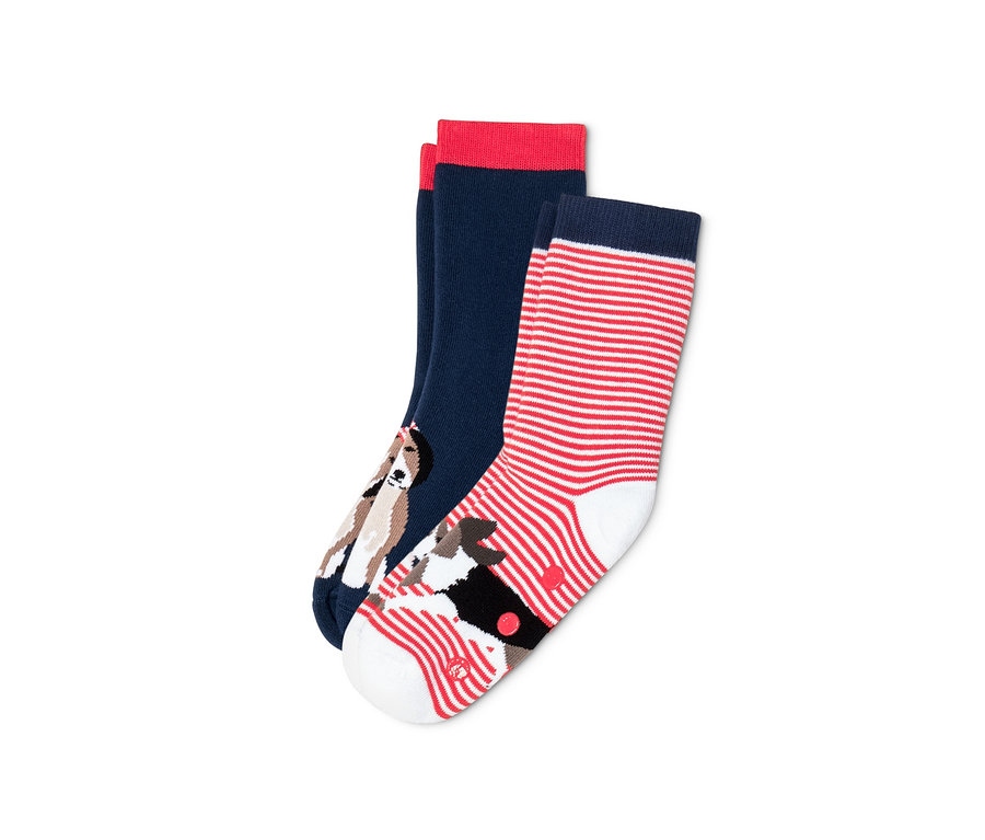 Zwei Paar Antirutsch-Socken, eines marineblau mit rotem Rand und Hundemotiv, das andere rot-weiß gestreift.