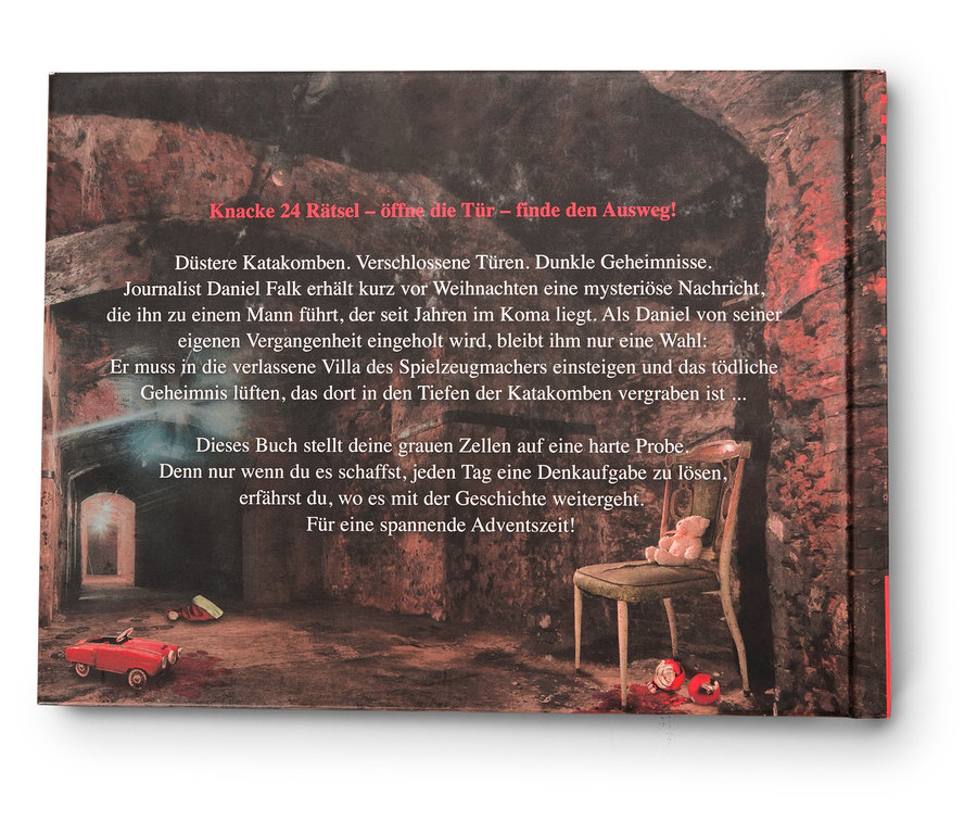 Das Buch zeigt düstere Katakomben, verschlossene Türen und dunkle Geheimnisse. Journalist Daniel Falk erhält kurz vor Weihnachten eine mysteriöse Nachricht.