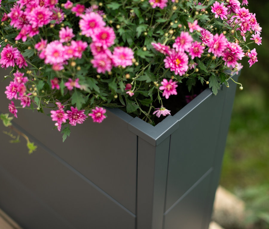 Nahaufnahme eines grauen Pflanzkastens mit rosa Blüten.
