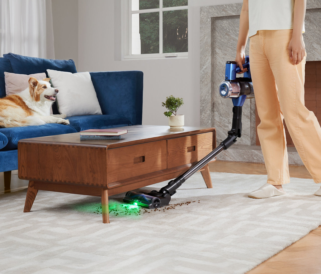 Eine Frau staubsaugt mit einem Tineco Akku-Staubsauger »Pure One S50 Pro« den Teppich, während ein Hund auf einem blauen Sofa liegt.