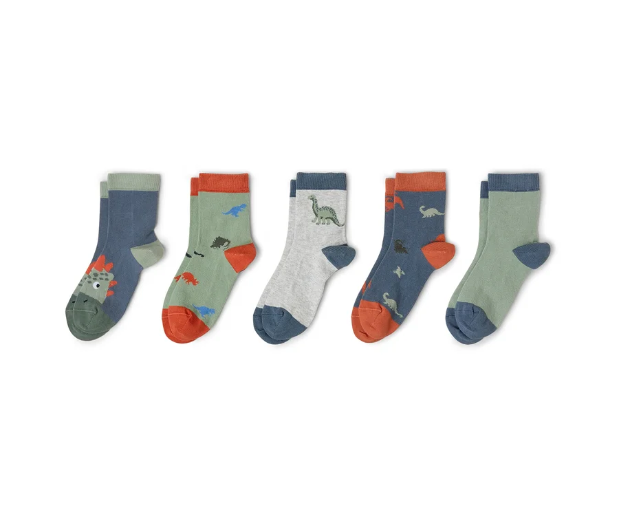 Fünf Paar Kindersocken mit verschiedenen Dinosaurier-Motiven liegen nebeneinander.