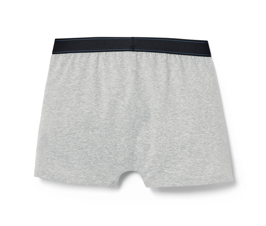 Graue 5 Slipboxer mit schwarzem Gummibund.