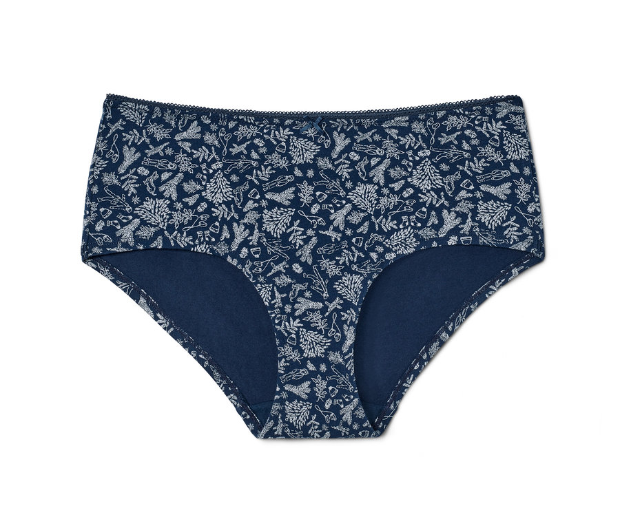 Ein einzelner blauer Damenslip mit Wintermuster. Teil eines 5 Pantys Sets.