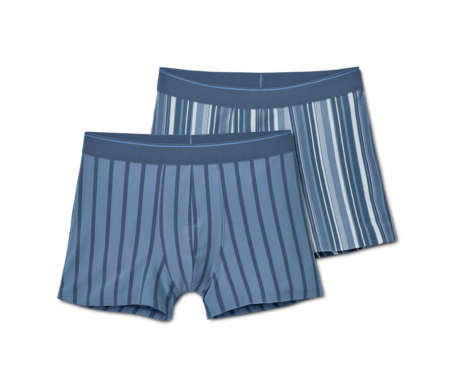 Zwei gestreifte Slipboxer.