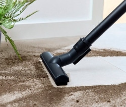 Ein Staubsauger entfernt Schmutz von einem gefliesten Boden, links davon steht eine Pflanze in einem blauen Topf. Im Titel steht: Bosch Bodenstaubsauger »BGD38RD1H« mit Beutel
