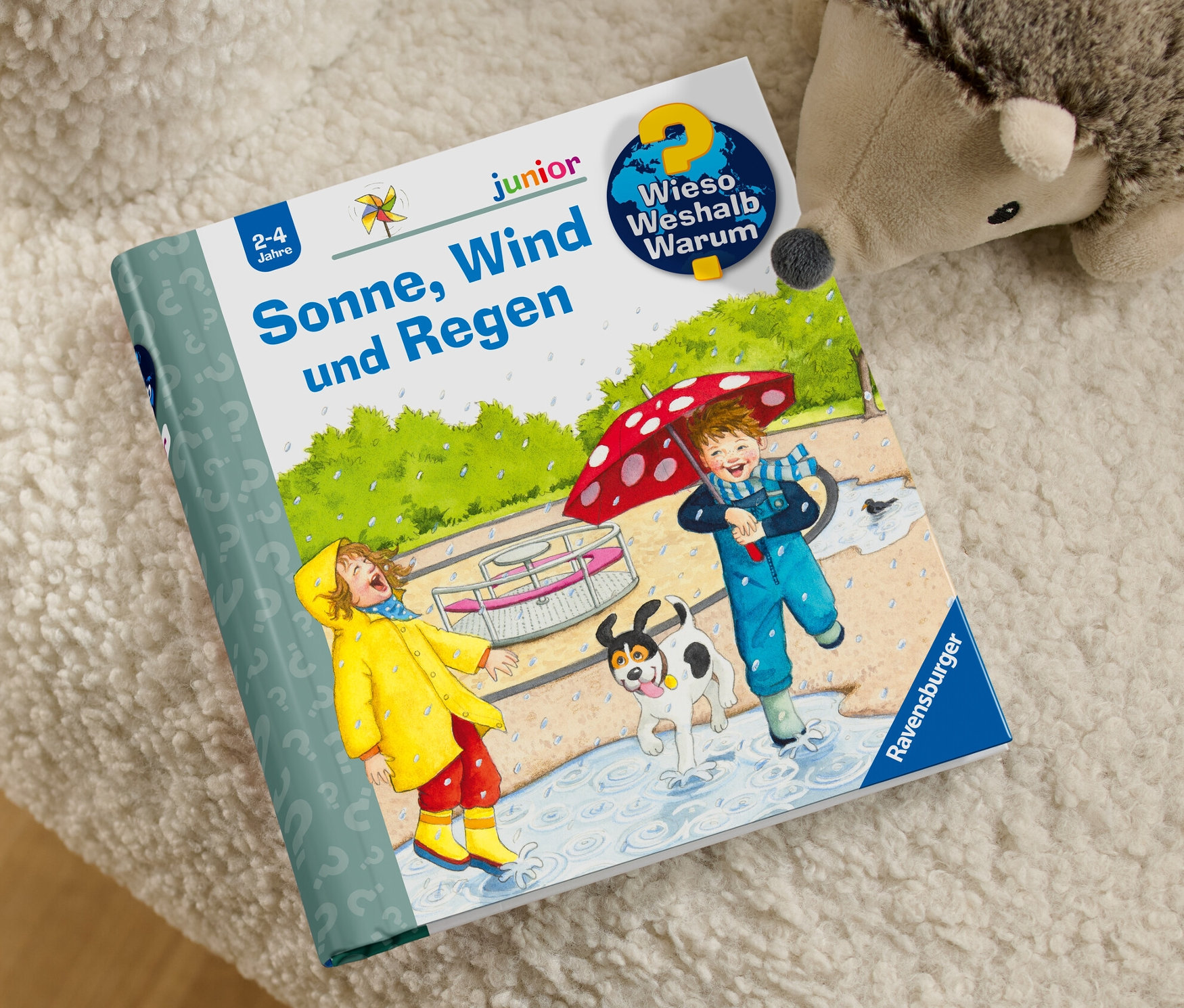 Buch: »Sonne, Wind und Regen«