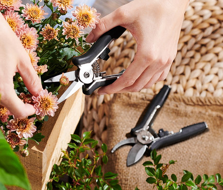 Frau schneidet Blumen mit einem Mini-Pflegescheren-Set.