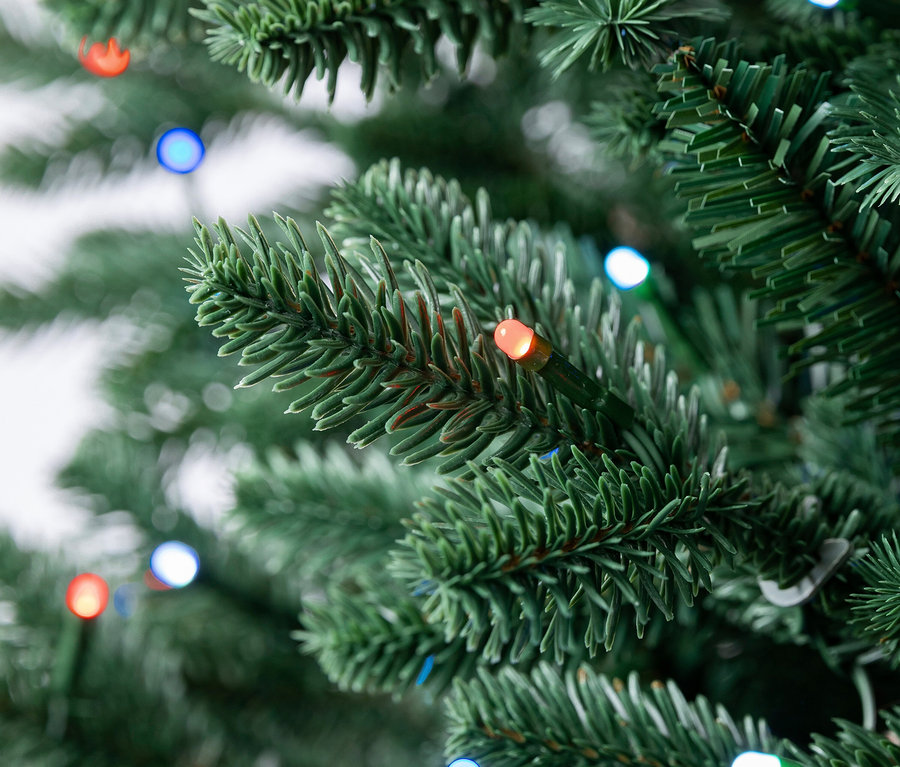 Nahaufnahme von grünen Tannenzweigen eines Weihnachtsbaums mit bunten Lichtern.