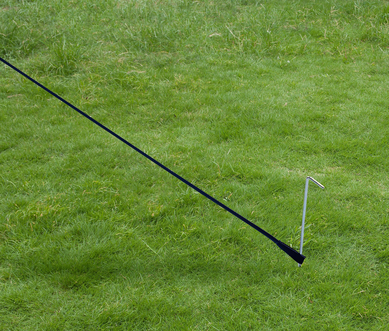 Schwarzes Tambu »CHADA« Tarp/Sonnensegel ist mit einem silbernen Hering im grünen Gras befestigt.