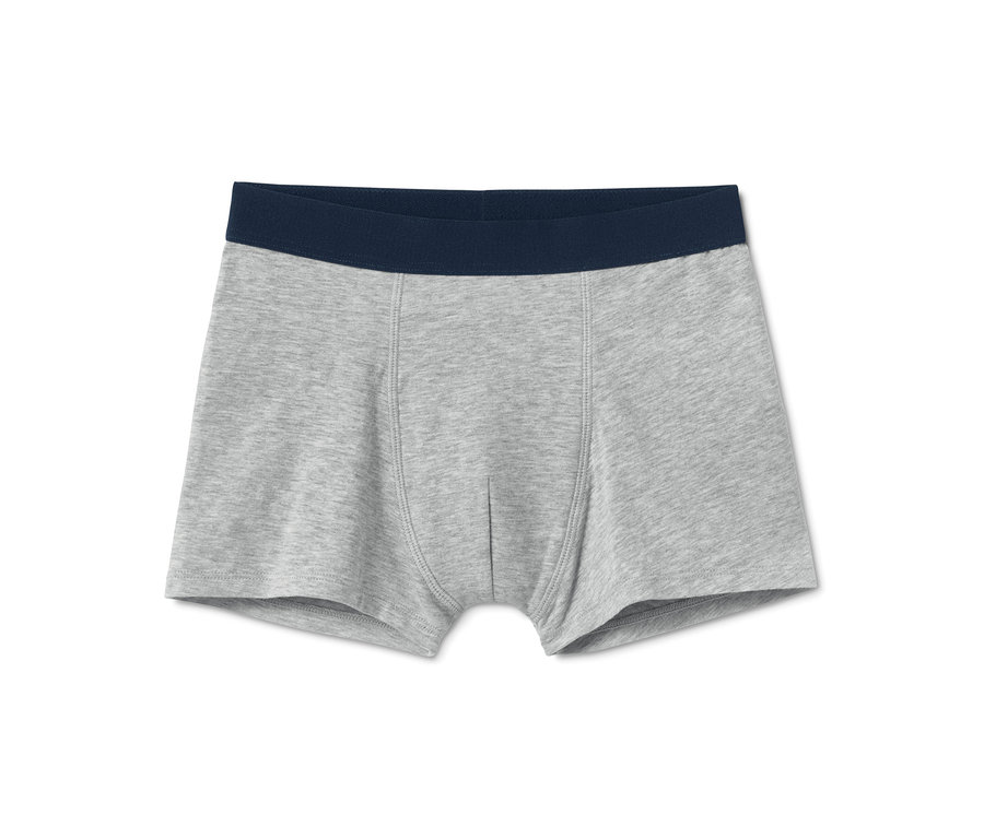 Ein Paar graue Slipboxer aus Bio-Baumwolle mit einem marineblauen Bund.