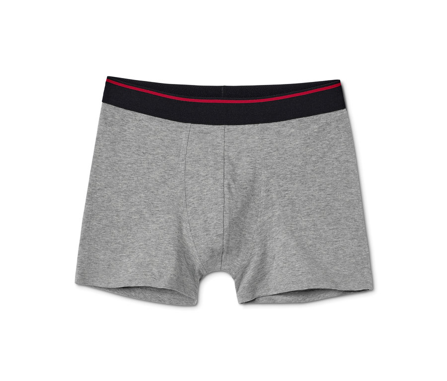 Ein einzelner grauer Slipboxer.