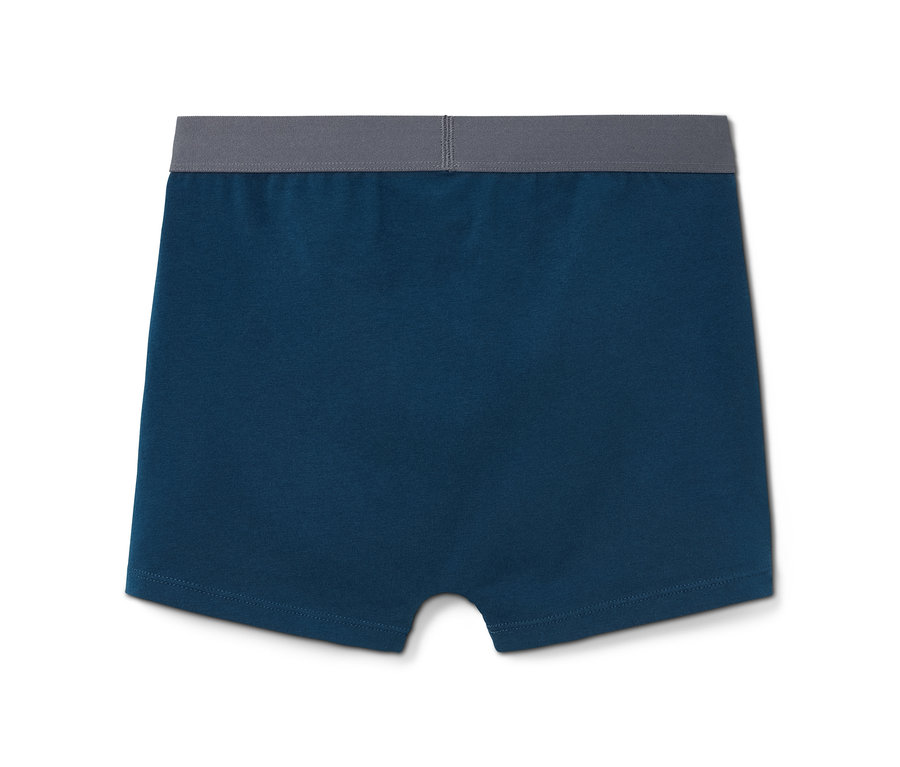 Blaue Jungen-Slipboxer mit grauem Bund.