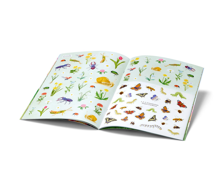 Ein aufgeschlagenes Buch mit Illustrationen von Insekten und Pflanzen.