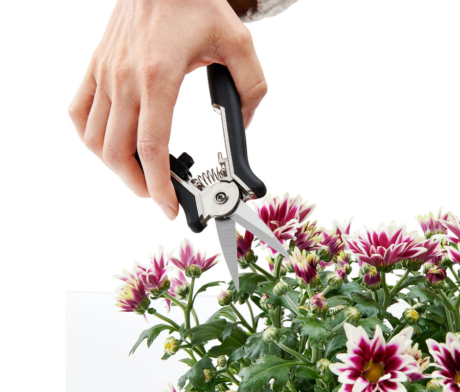 Hand schneidet Blumen mit einem Mini-Pflegescheren-Set.