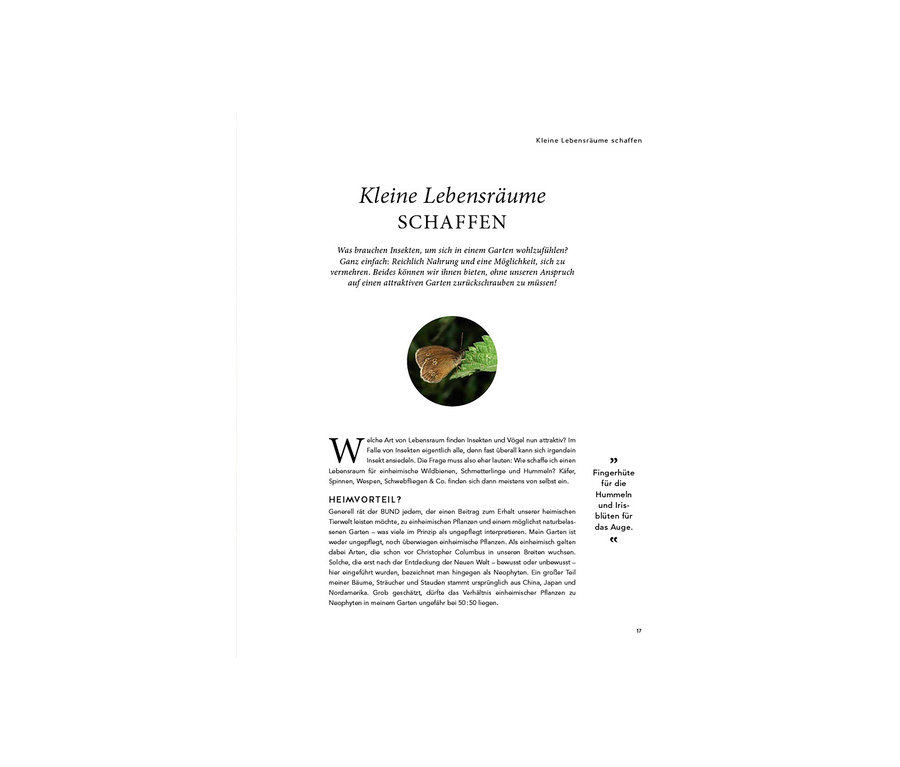 Text über das Schaffen kleiner Lebensräume mit einem Foto eines Schmetterlings, mit dem Buch »Mein summendes Paradies«.