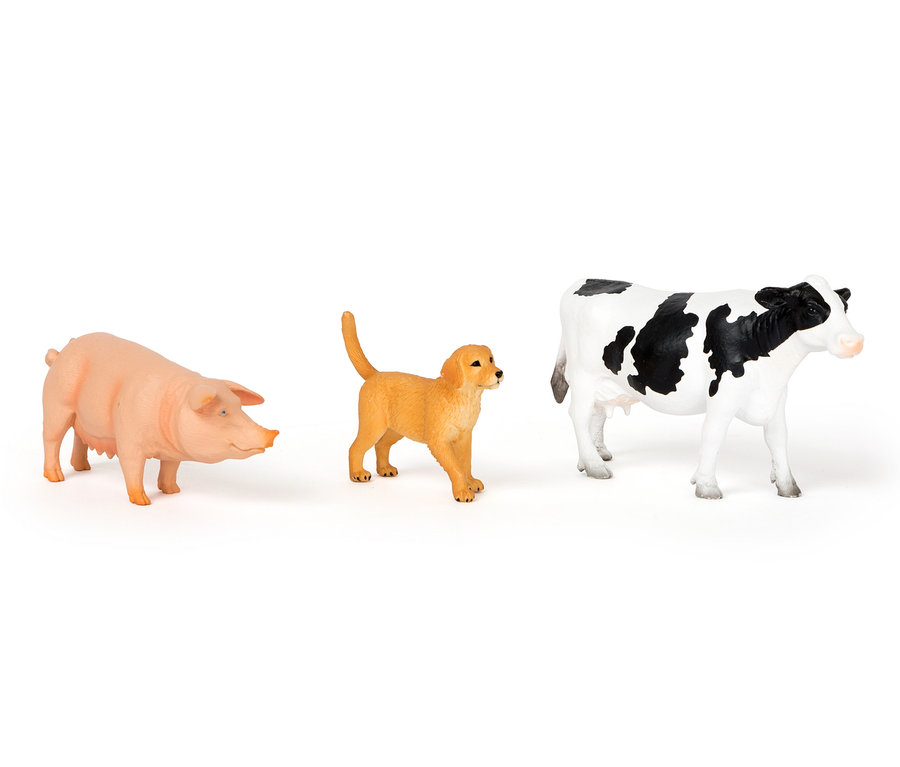 Ein Schwein, ein Welpe und eine Kuh stehen nebeneinander.