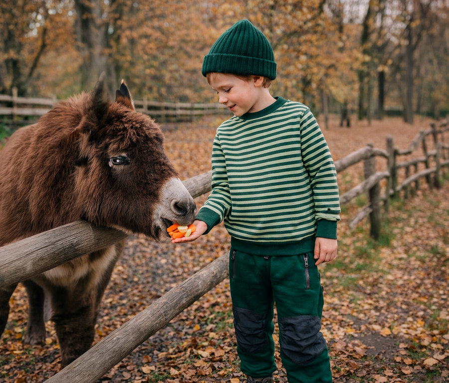 Ein kleiner Junge in gestreiftem Pullover und grüner Mütze füttert einem braunen Esel Karotten über einen Holzzaun in herbstlicher Umgebung.
