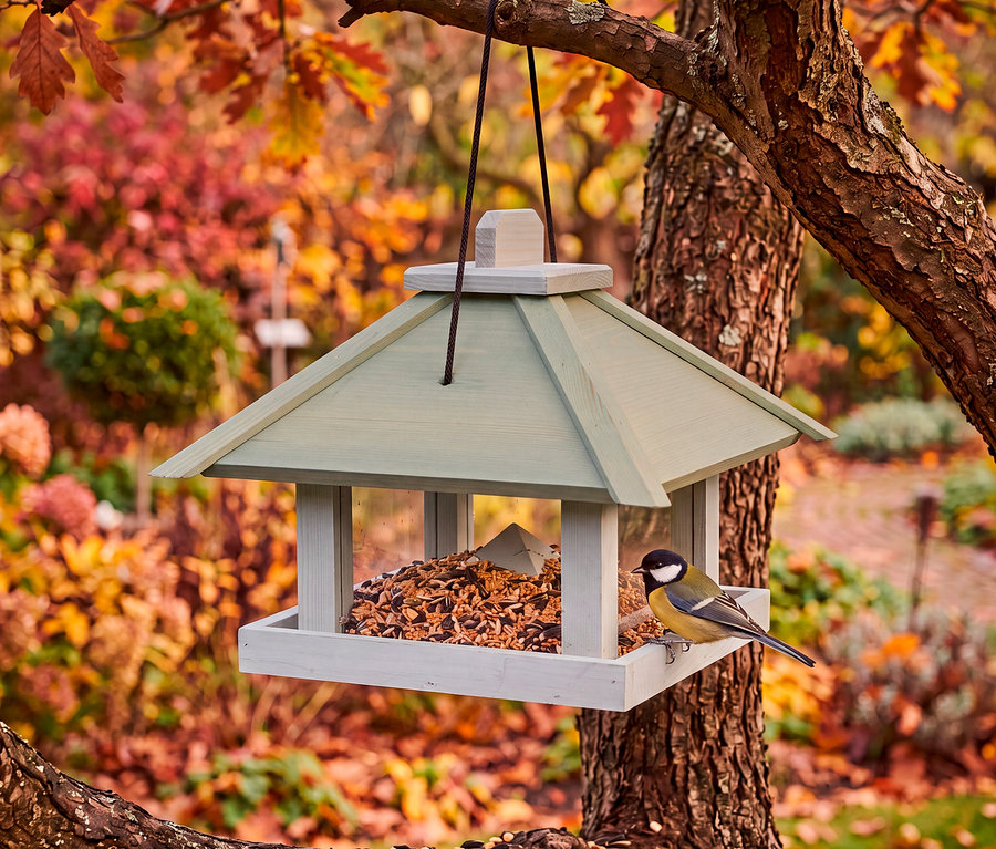 Eine Kohlmeise sitzt auf einem hellgrünen und grauen Vogelhaus, das an einem Baumast hängt und mit Vogelfutter gefüllt ist. Im Hintergrund ist Herbstlaub.