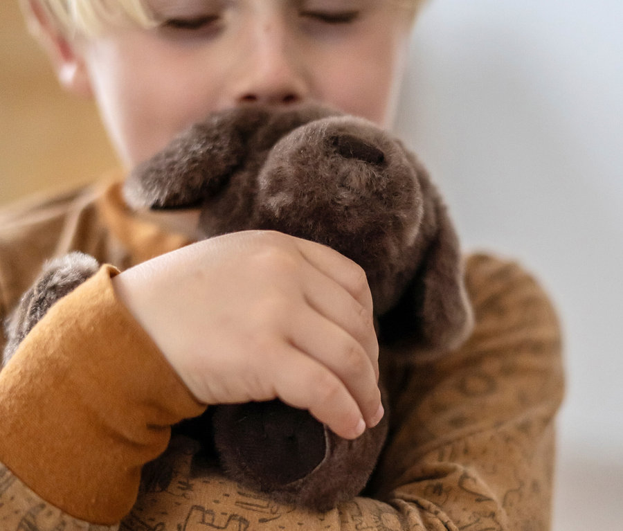 Junge umarmt braunen Plüschhund von small foot Hund mit Tasche und Pflege-Set.