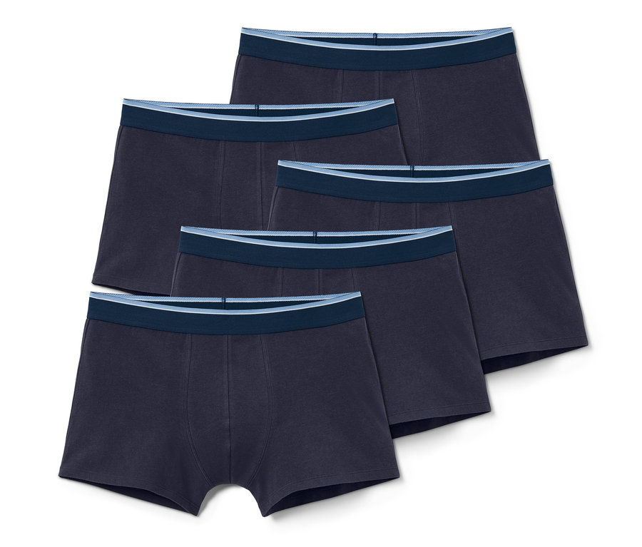 Fünf dunkelblaue Slipboxer.